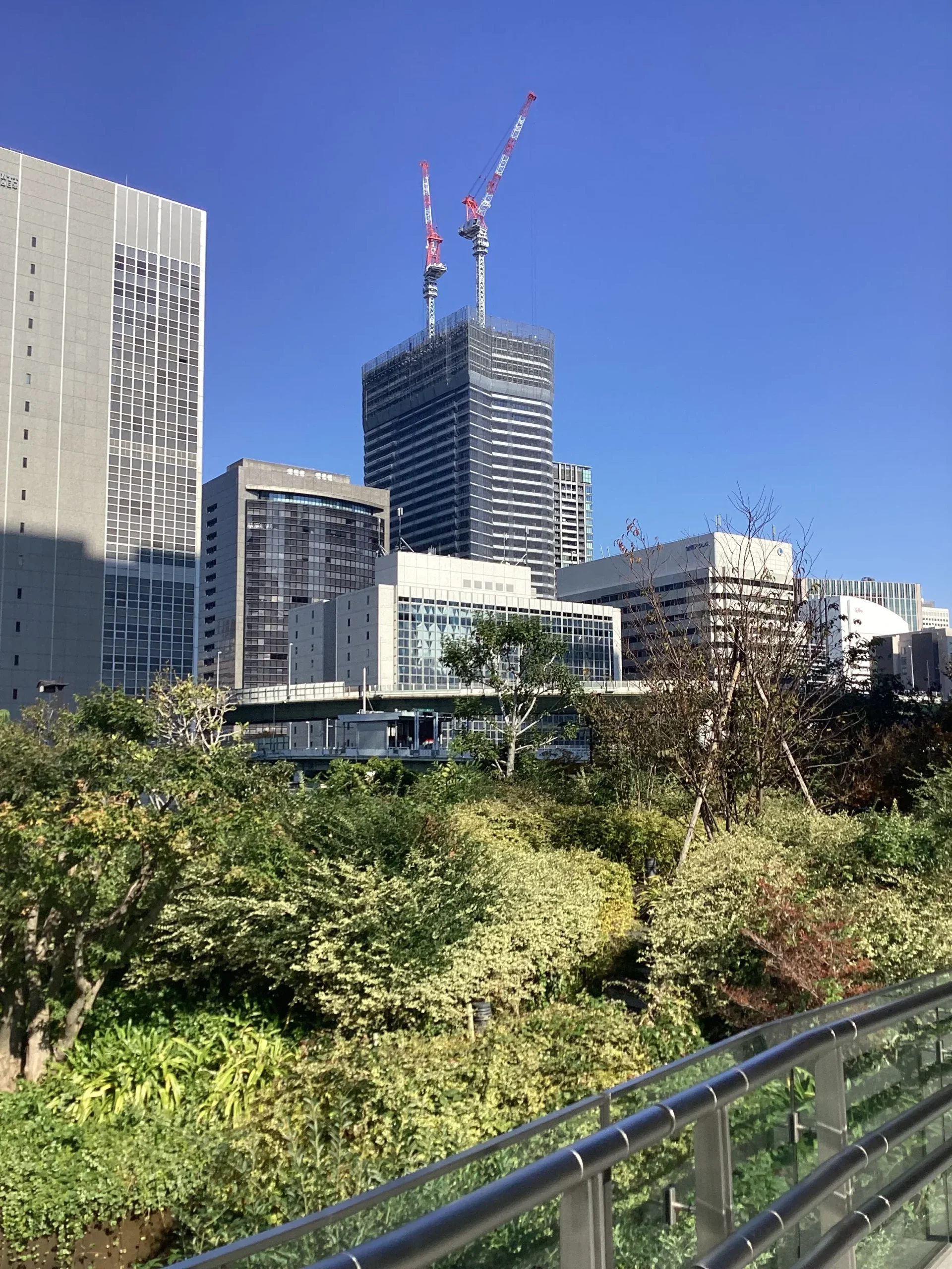 中之島からの遠景