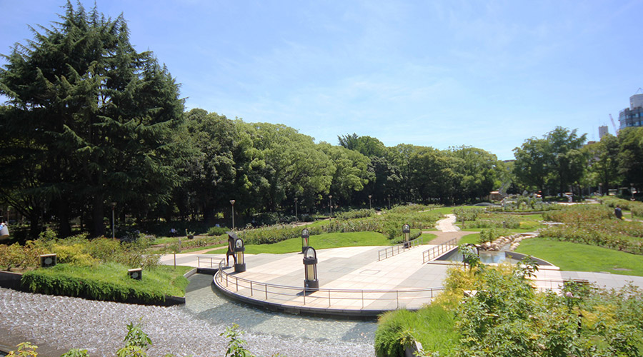 靭公園：都心に広がる緑のオアシス