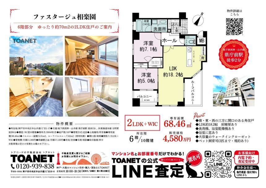 今週のチラシ広告　2025/7/17~
