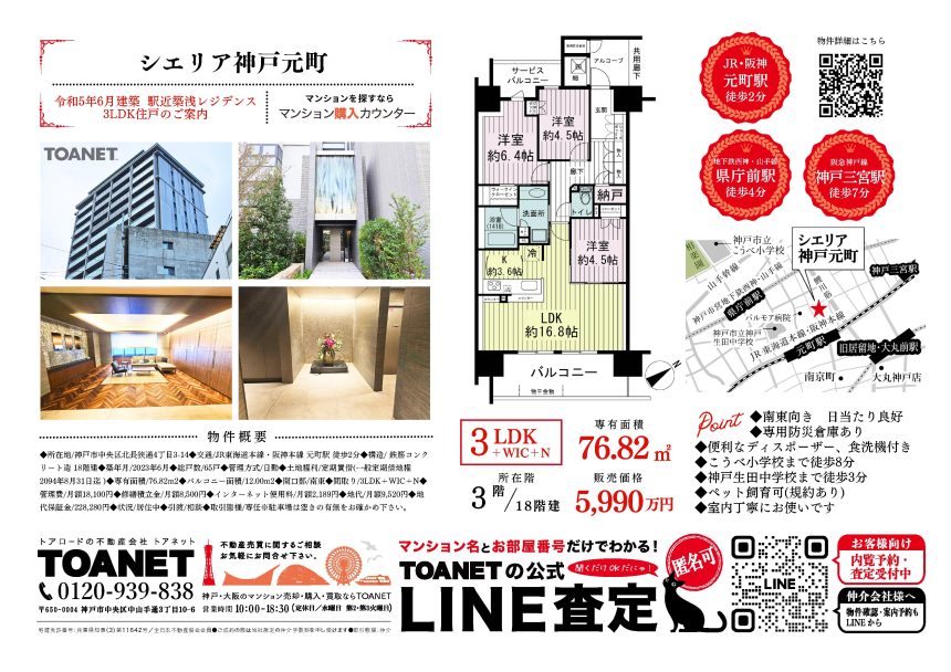 今週のチラシ広告　2025/8/7~