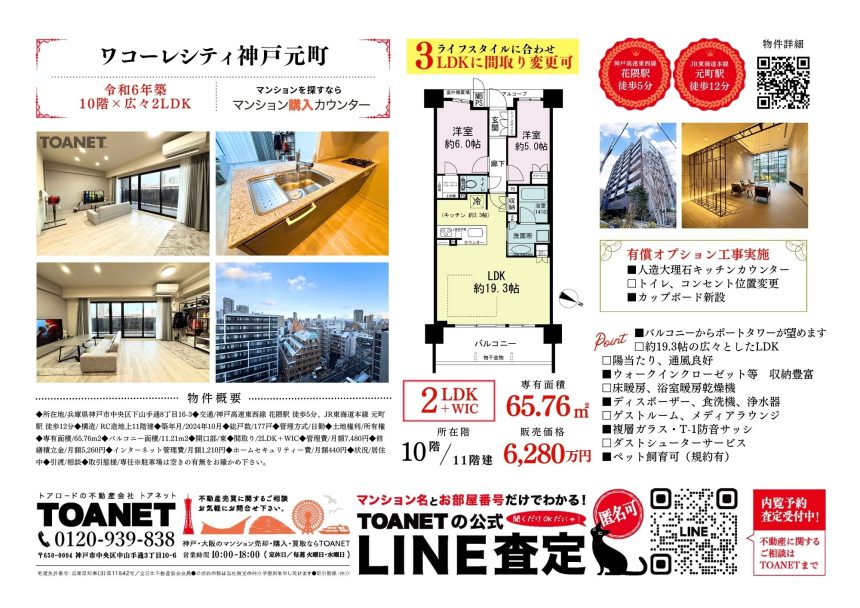 今週のチラシ広告　2026/2/12~